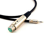 4' XLR to Stereo Mini Microphone Cable